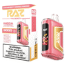 RAZ TN9000 Disposable Vape