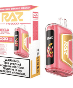 RAZ TN9000 Disposable Vape