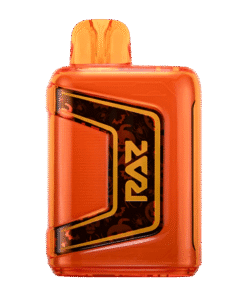 RAZ TN9000 Disposable Vape